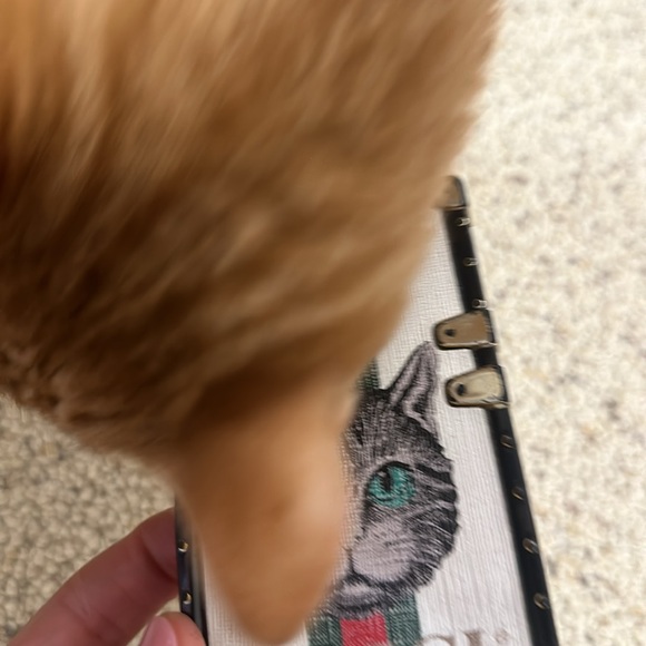 Gucci Phone Case - Authentic!! - Picture 8 of 8